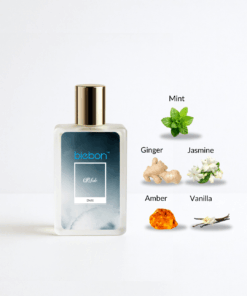 Men - Signature Male